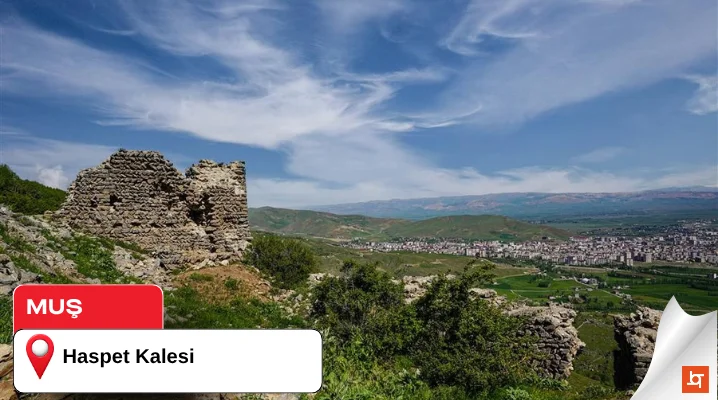 Haspet Kalesi