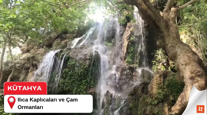 Ilıca Kaplıcaları ve Çam Ormanları