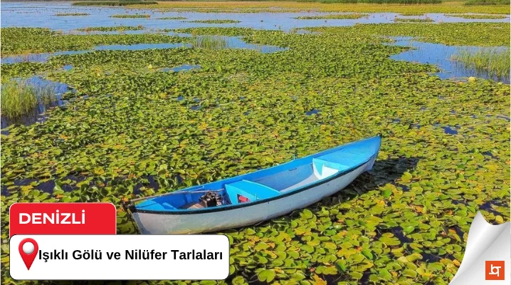 Işıklı Gölü ve Nilüfer Tarlaları