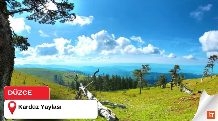 Kardüz Yaylası