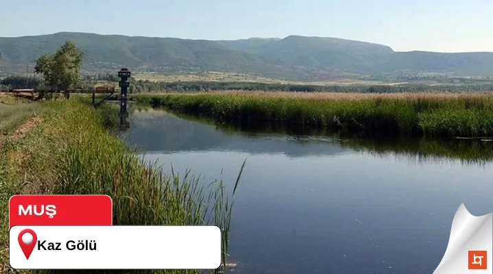 Kaz Gölü