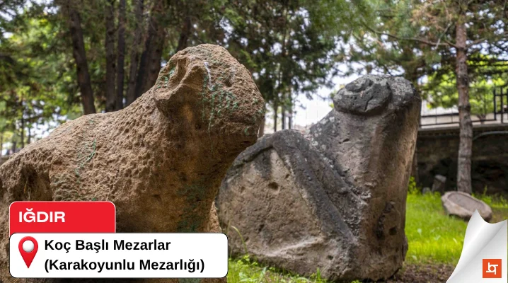 Koç Başlı Mezarlar (Karakoyunlu Mezarlığı)