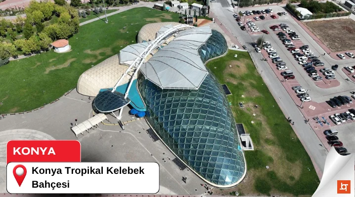 Konya Tropikal Kelebek Bahçesi