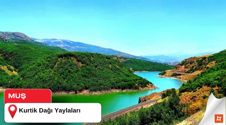 Kurtik Dağı Yaylaları