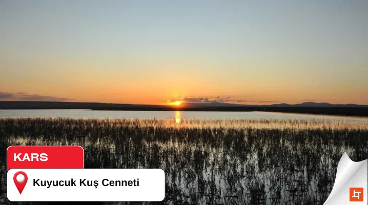 Kuyucuk Kuş Cenneti