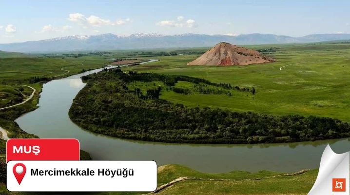 Mercimekkale Höyüğü