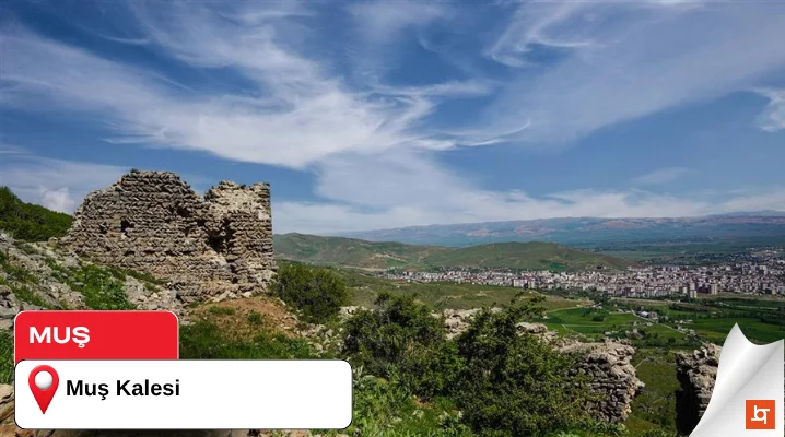 Muş Kalesi