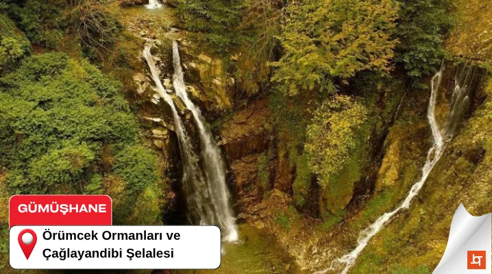 Örümcek Ormanları ve Çağlayandibi Şelalesi