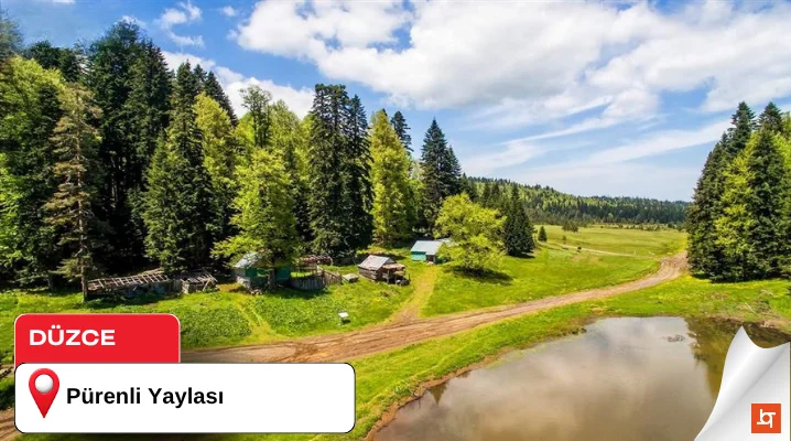Pürenli Yaylası