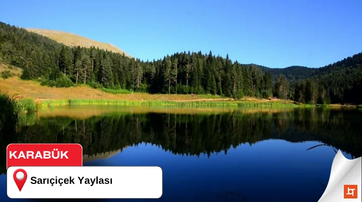 Sarıçiçek Yaylası