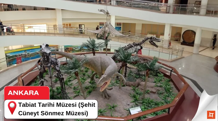 Tabiat Tarihi Müzesi (Şehit Cüneyt Sönmez Müzesi)