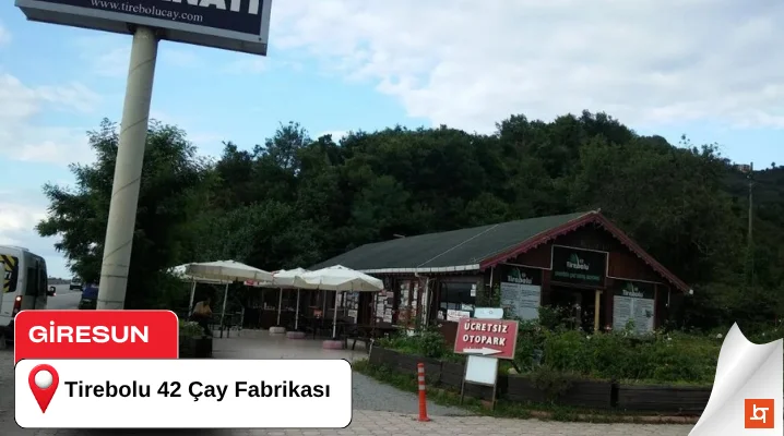 Tirebolu 42 Çay Fabrikası