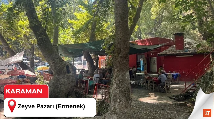 Zeyve Pazarı (Ermenek)