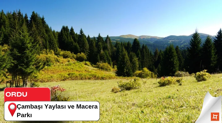 Çambaşı Yaylası