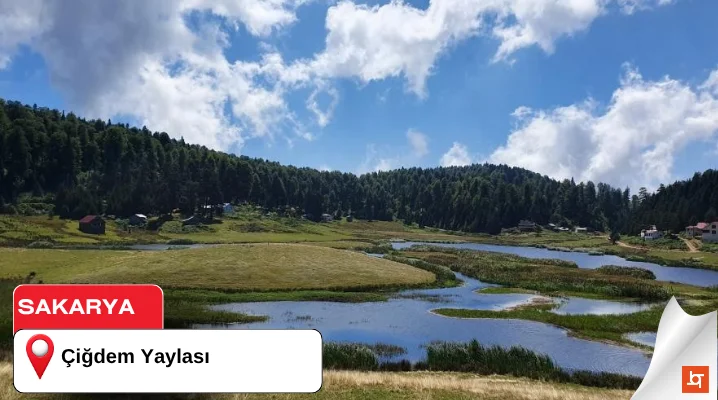 Çiğdem Yaylası
