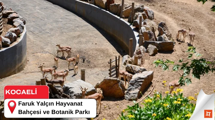 Faruk Yalçın Hayvanat Bahçesi ve Botanik Parkı