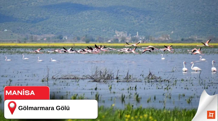 Gölmarmara Gölü