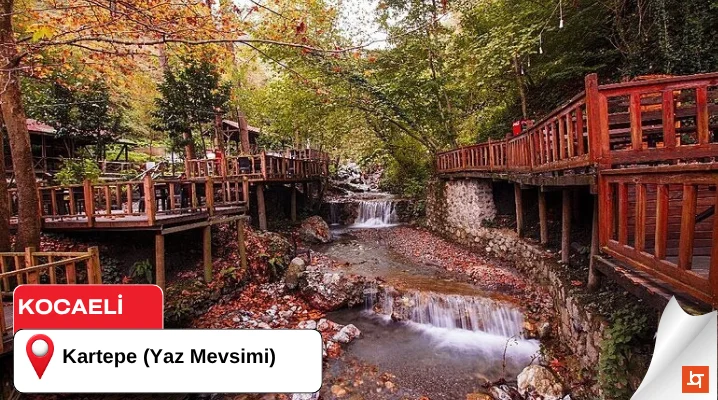 Kartepe (Yaz Mevsimi)