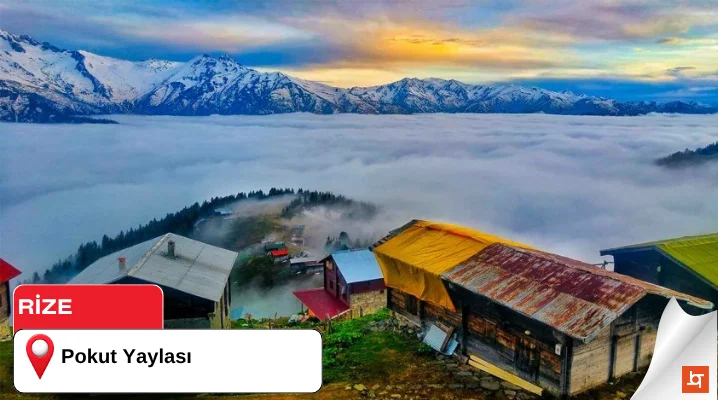 Pokut Yaylası