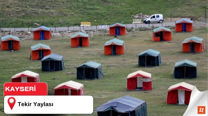 Tekir Yaylası