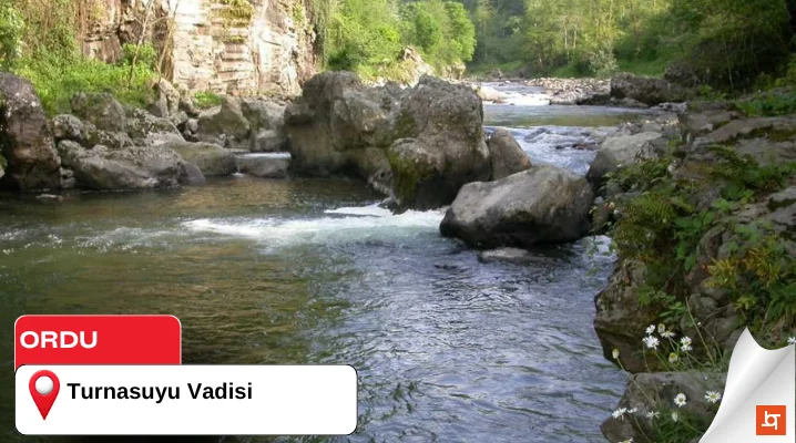 Turnasuyu Vadisi