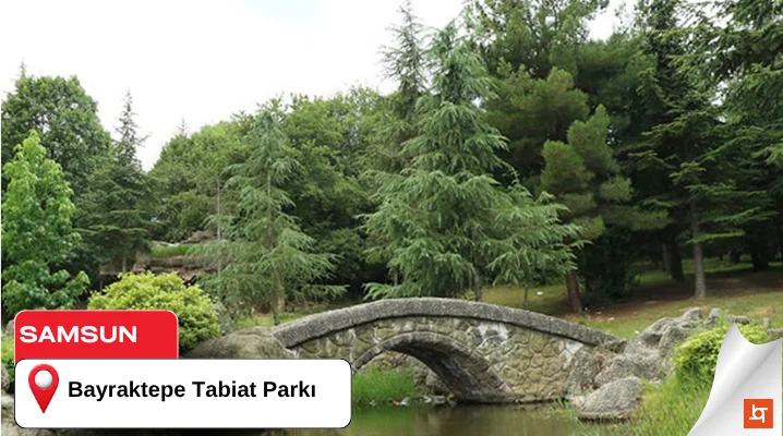 Bayraktepe Tabiat Parkı