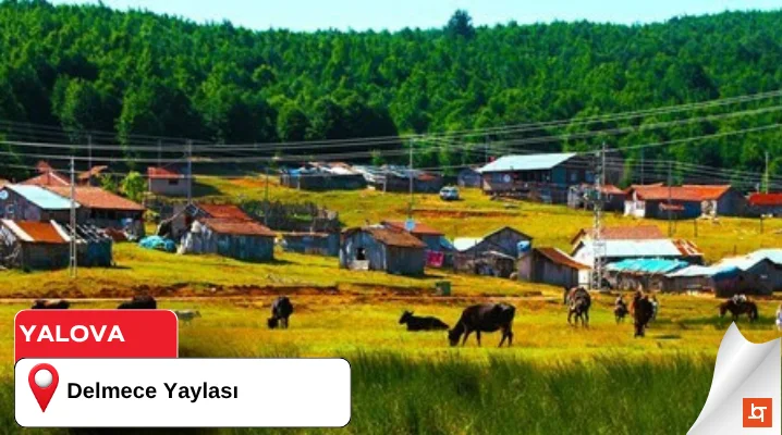 Delmece Yaylası