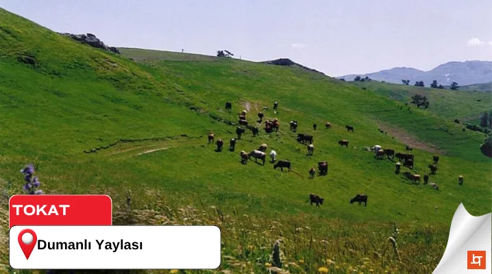 Dumanlı Yaylası