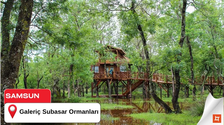 Galeriç Subasar Ormanları