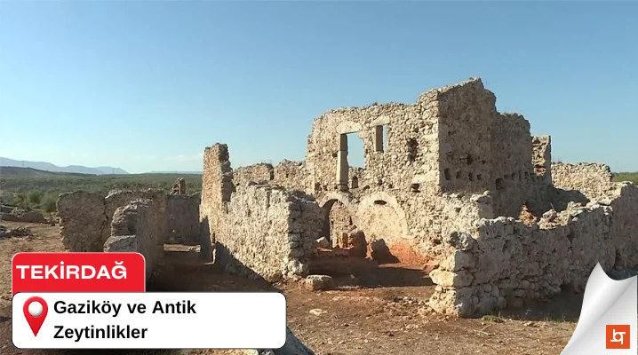 Gaziköy ve Antik Zeytinlikler