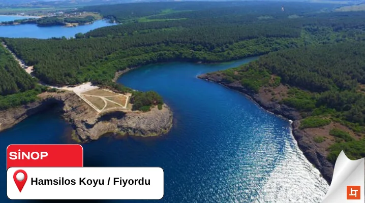 Hamsilos Koyu / Fiyordu