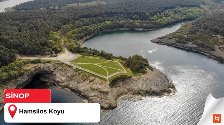 Hamsilos Koyu