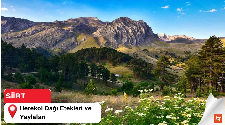 Herekol Dağı Etekleri ve Yaylaları