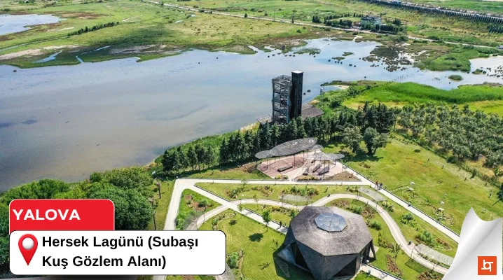 Hersek Lagünü (Subaşı Kuş Gözlem Alanı)