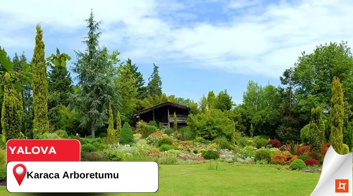 Karaca Arboretumu