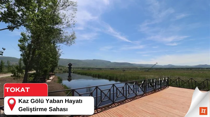 Kaz Gölü Yaban Hayatı Geliştirme Sahası