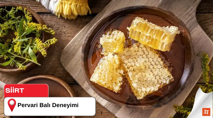 Pervari Balı Deneyimi