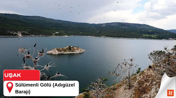 Sülümenli Gölü (Adıgüzel Barajı)
