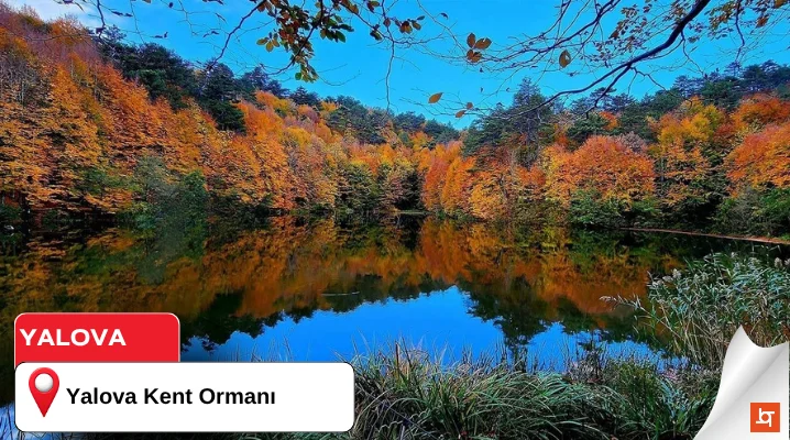 Yalova Kent Ormanı